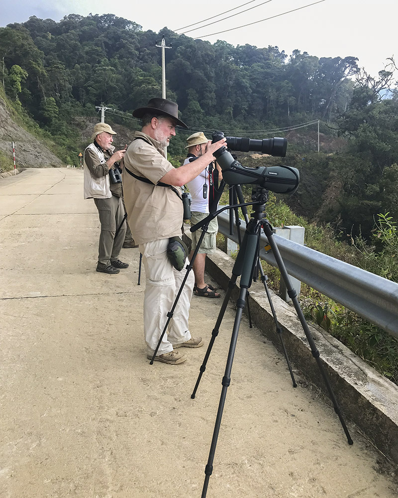 Clients Reviews & Testimonials about Vietnam Birding Tours, Vietnam Birdwatching Tours, Vietnam Bird Photography Tours by VietBird - Best local birding company.