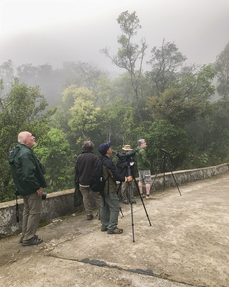 Clients Reviews & Testimonials about Vietnam Birding Tours, Vietnam Birdwatching Tours, Vietnam Bird Photography Tours by VietBird - Best local birding company.