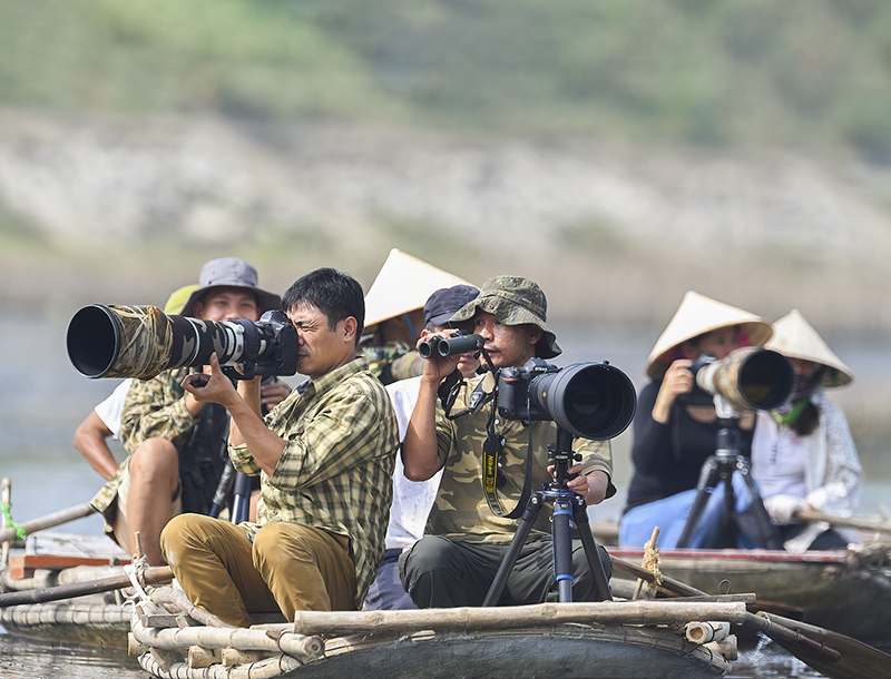 Vietnam Bird Photography Tours | Wildlife Photography Tours | VIETBIRD